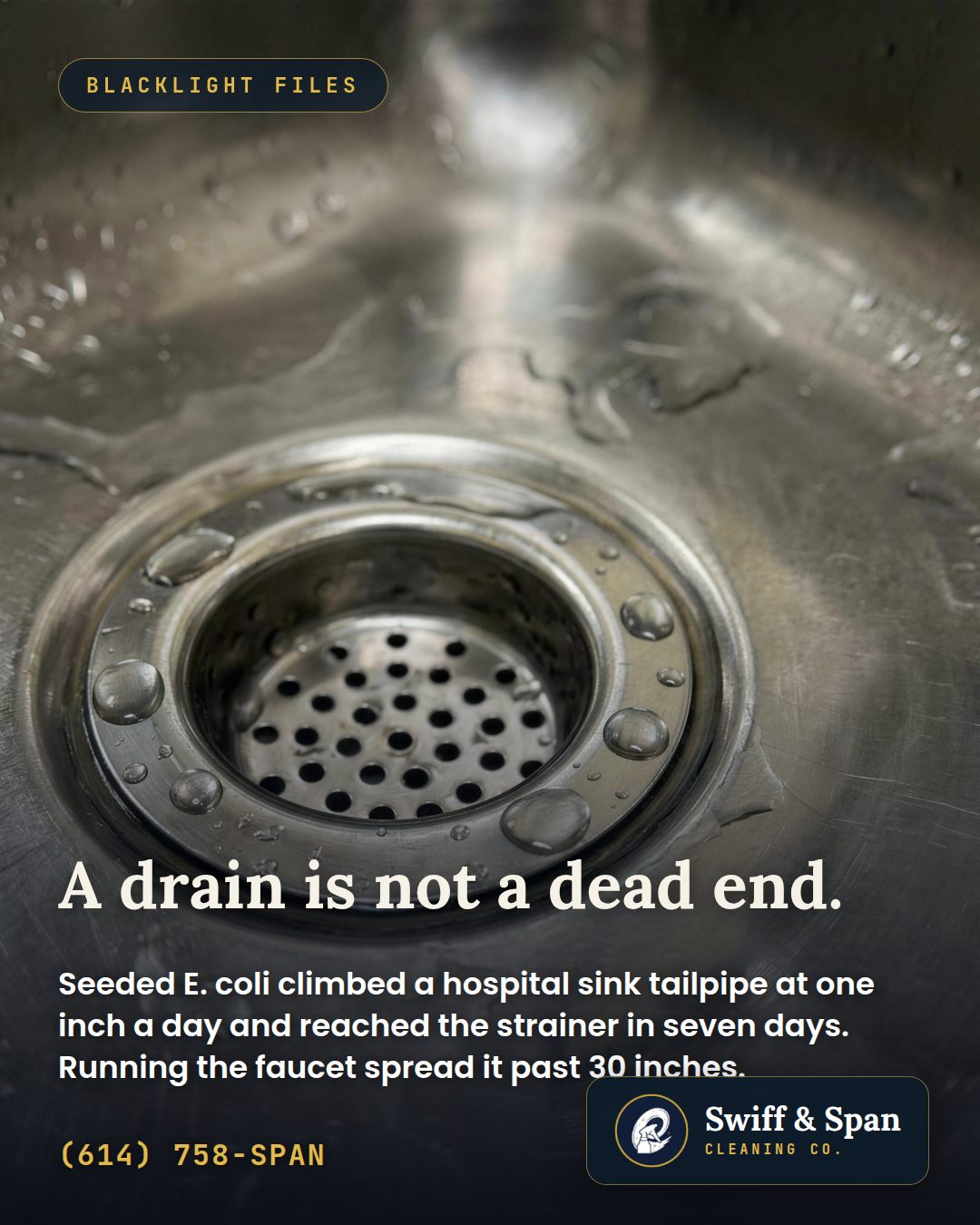 Swiff & Span info card: bacteria climb out of a sink drain at about an inch a day