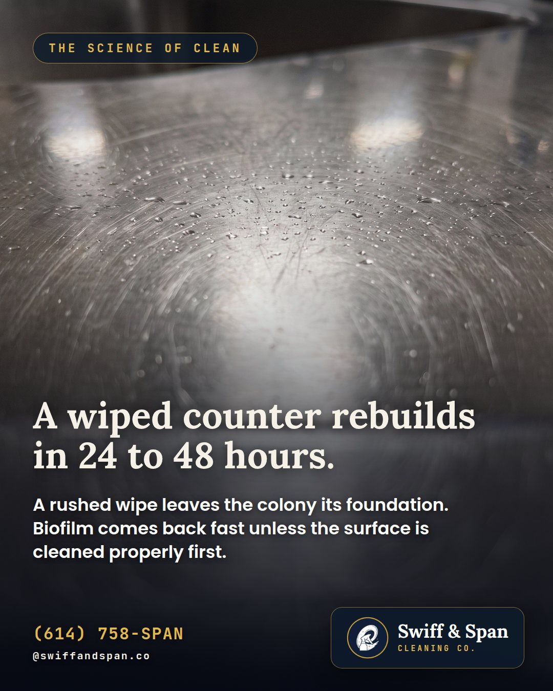 Swiff & Span photo card: A wiped counter rebuilds in 24 to 48 hours.