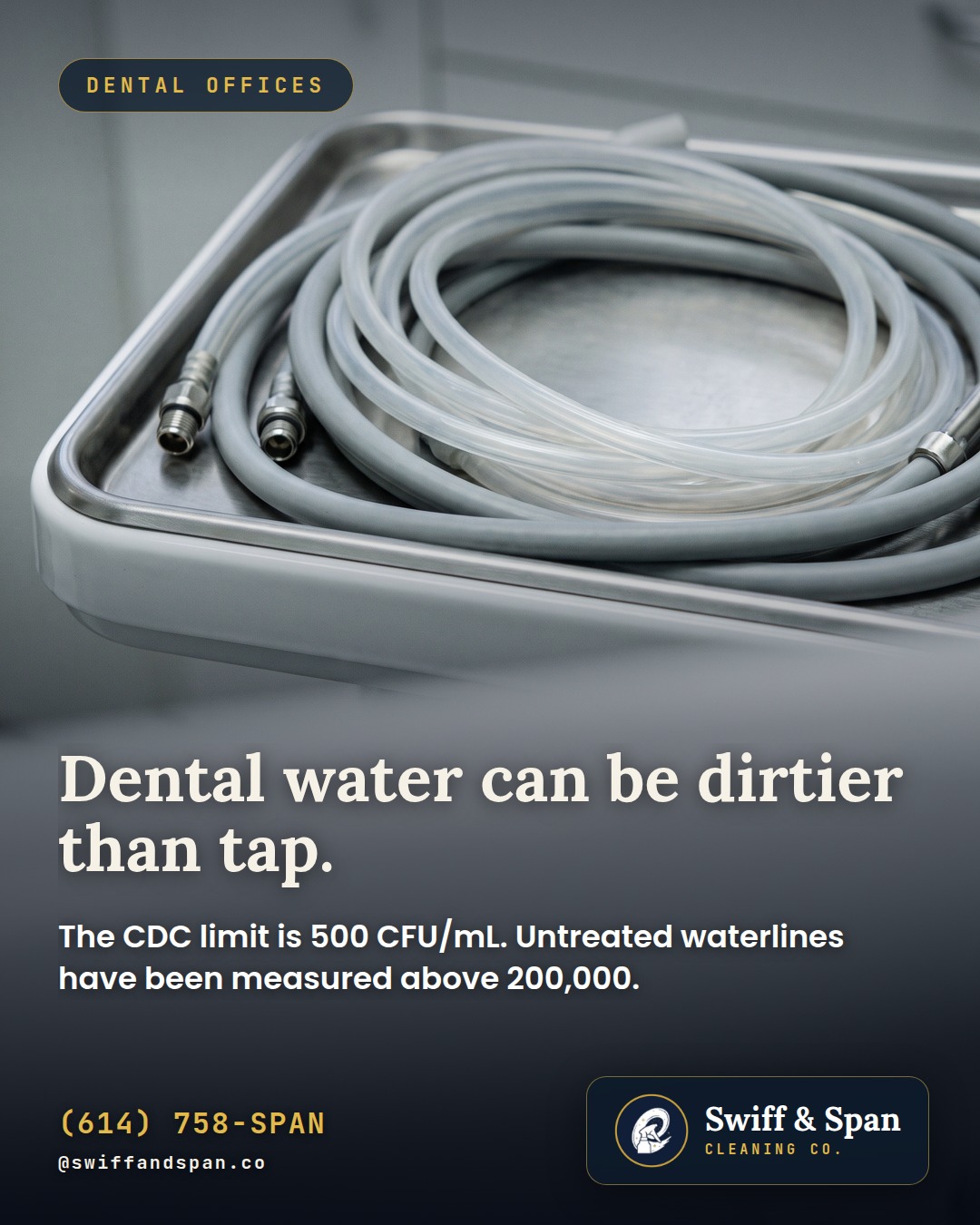 Swiff & Span photo card: Dental water can be dirtier than tap.