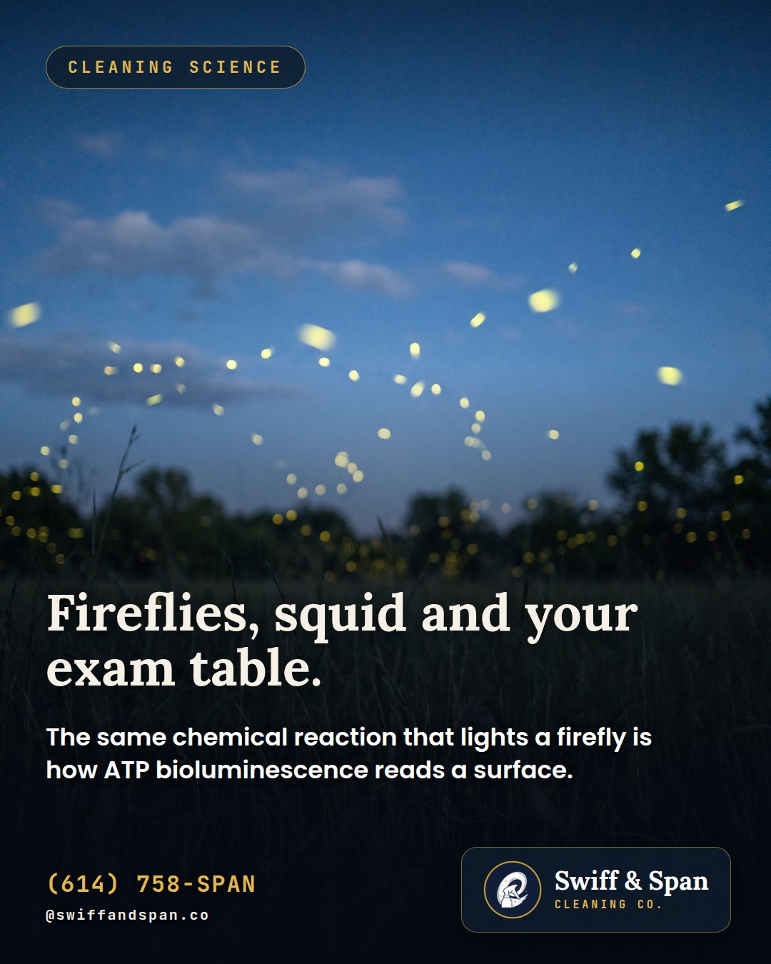 Swiff & Span photo card: Fireflies, squid and your exam table.