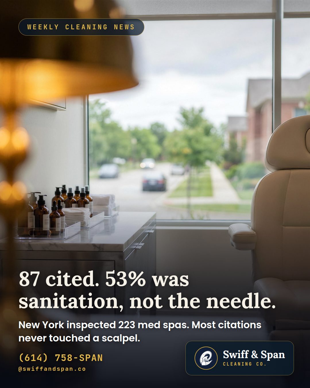 Swiff & Span info card: 87 cited. 53% was sanitation, not the needle.